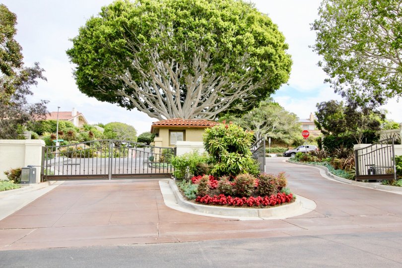 Ventana Condos, Lofts & Townhomes For Sale Ventana Real Estate