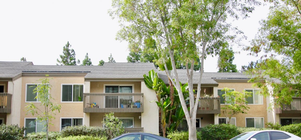 Villa La Jolla Condos, Lofts & Townhomes For Sale Villa La Jolla Real