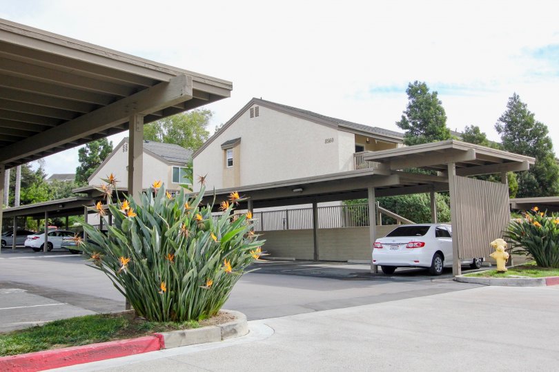 Villa La Jolla Condos, Lofts & Townhomes For Sale Villa La Jolla Real