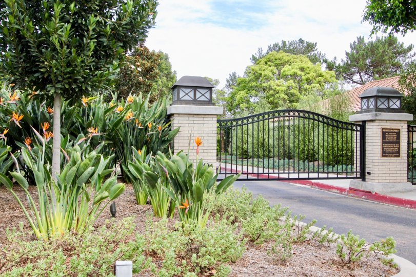 Windemere Condos, Lofts & Townhomes For Sale Windemere Real Estate