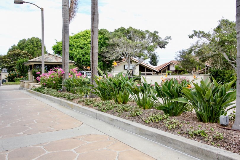 Windemere Condos, Lofts & Townhomes For Sale Windemere Real Estate