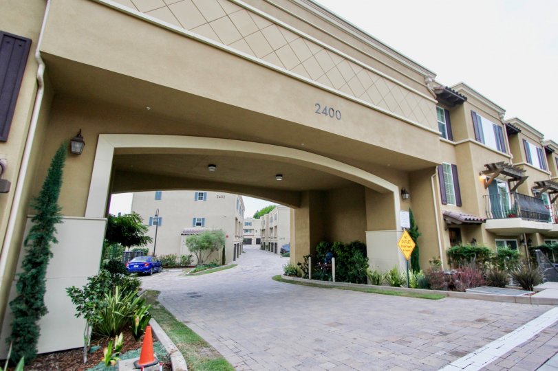 Ziani Condos, Lofts & Townhomes For Sale Ziani Real Estate Ziani