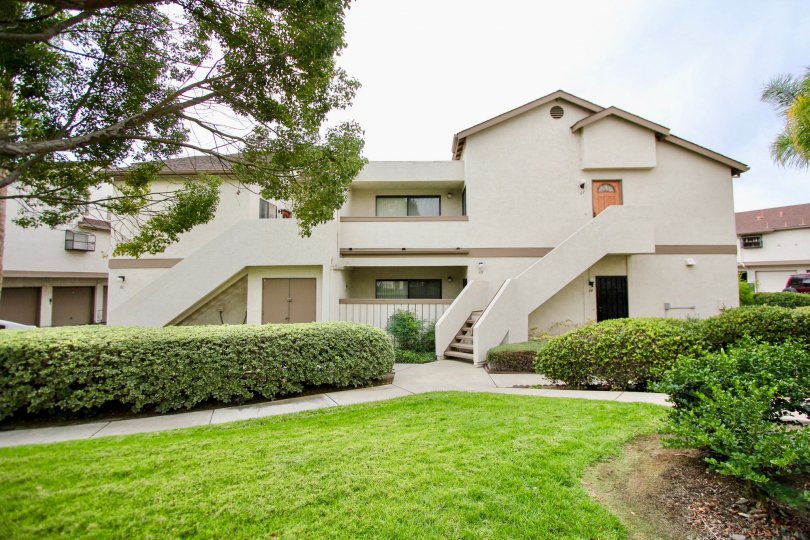 Avocado Village Condos, Lofts & Townhomes For Sale Avocado Village