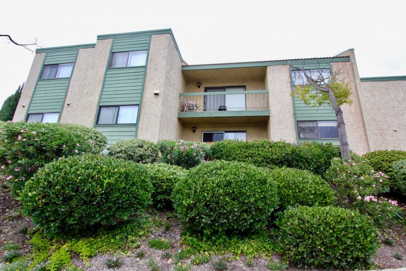 Cypress Plaza Condos, Lofts & Townhomes For Sale Cypress Plaza Real