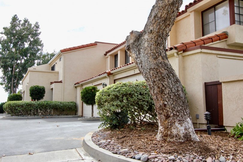 Daybreak Condos, Lofts & Townhomes For Sale Daybreak Real Estate