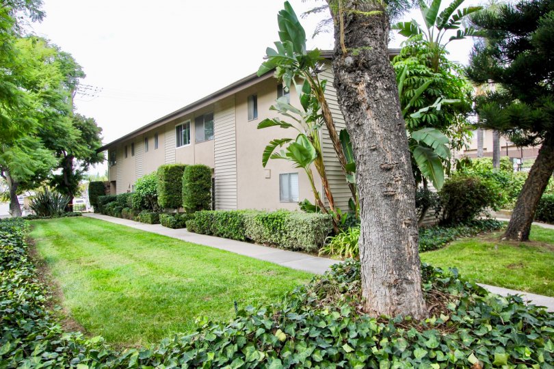 Grossmont Village Condos, Lofts & Townhomes For Sale Grossmont Village Real Estate Grossmont