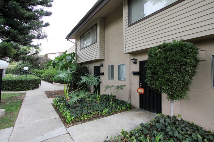 Grossmont Village Condos, Lofts & Townhomes For Sale Grossmont Village Real Estate Grossmont