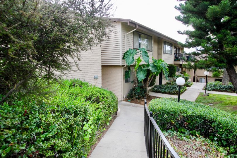 Grossmont Village Condos, Lofts & Townhomes For Sale Grossmont Village Real Estate Grossmont