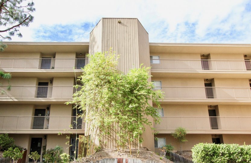 Lake Park Condos, Lofts & Townhomes For Sale Lake Park Real Estate