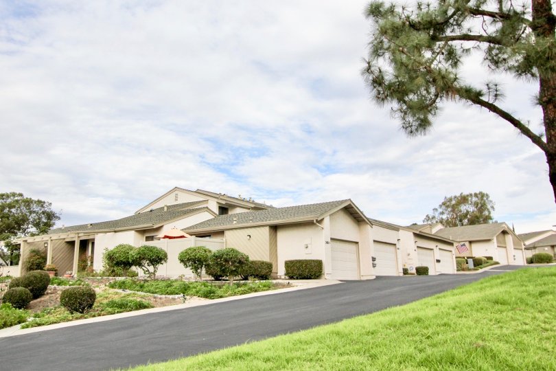 Smoke Tree Condos, Lofts & Townhomes For Sale Smoke Tree Real Estate