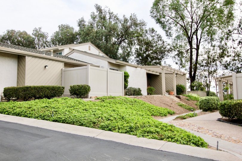 Smoke Tree Condos, Lofts & Townhomes For Sale Smoke Tree Real Estate