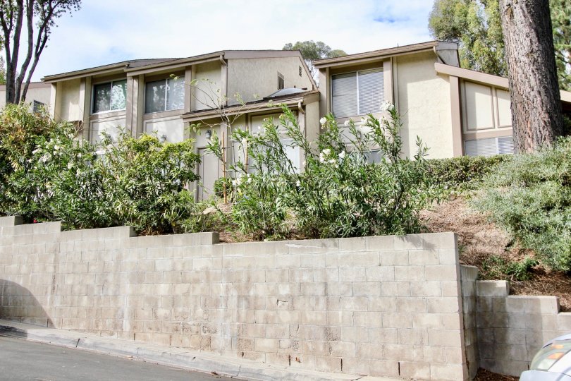 Strawberry Hills Condos, Lofts & Townhomes For Sale Strawberry Hills