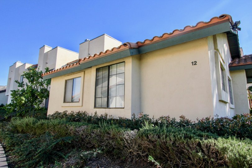 Black Mountain Villas Condos, Lofts & Townhomes For Sale Black