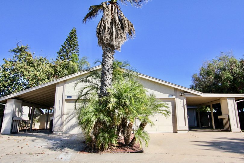 Colony Homes Condos, Lofts & Townhomes For Sale Colony Homes Real