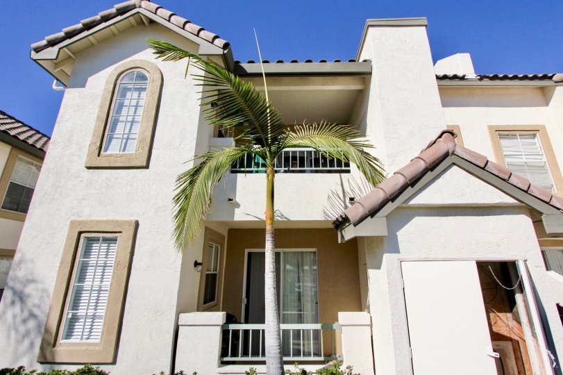 Mirabella Condos, Lofts & Townhomes For Sale Mirabella Real Estate