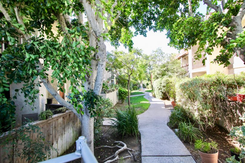 Monterey Village Condos, Lofts & Townhomes For Sale Monterey Village