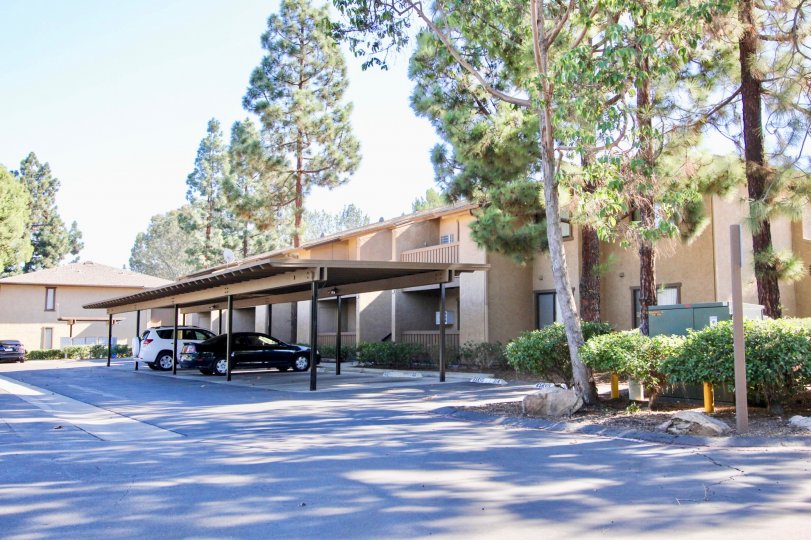 Quail Creek Condos, Lofts & Townhomes For Sale Quail Creek Real