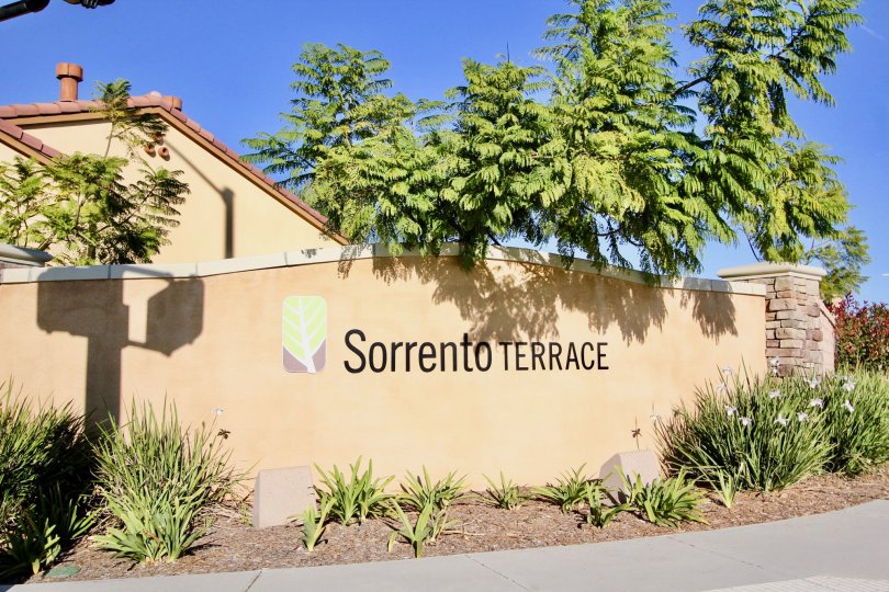 Sorrento Terrace Condos, Lofts & Townhomes For Sale Sorrento Terrace