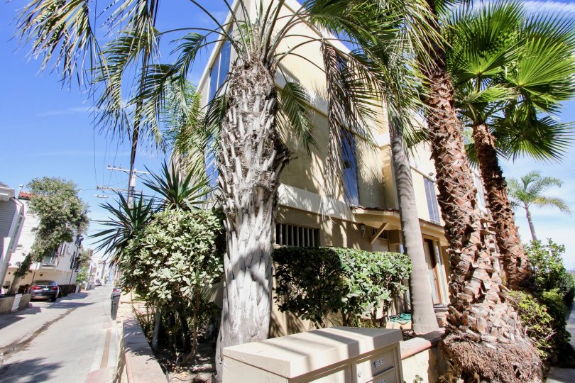 Carmel Villas Condos, Lofts & Townhomes For Sale Carmel Villas Real