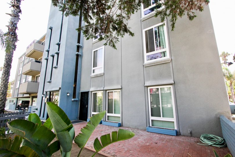 Mission Beach Towers Condos, Lofts & Townhomes For Sale Mission Beach