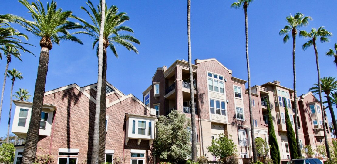 Cambridge Square Condos, Lofts & Townhomes For Sale Cambridge Square