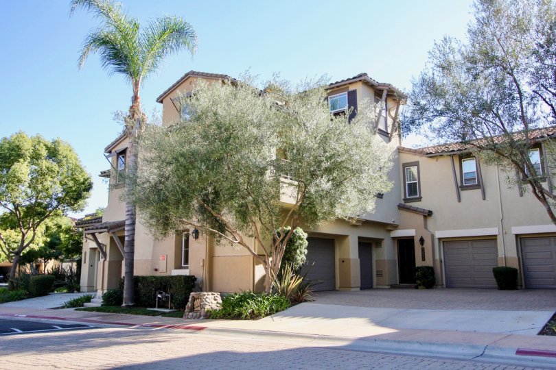 Courtyards at Escala Condos, Lofts & Townhomes For Sale Courtyards at