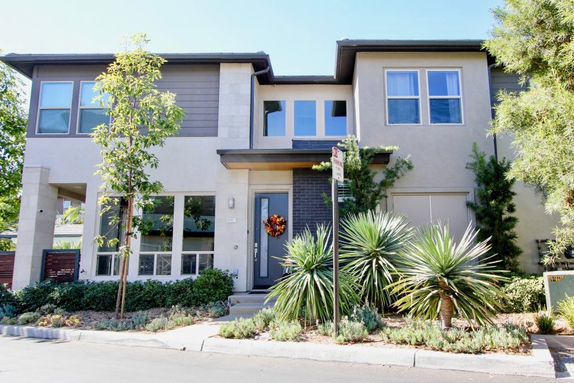 Frame and Focus Condos, Lofts & Townhomes For Sale Frame and Focus