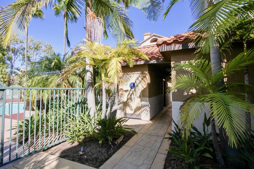 River Colony Condos, Lofts & Townhomes For Sale River Colony Real