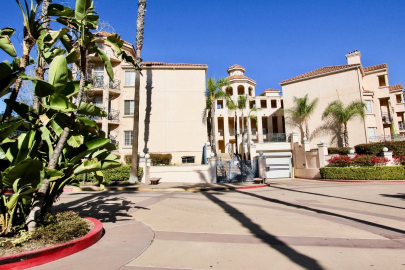 River Scene Condos, Lofts & Townhomes For Sale River Scene Real