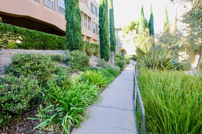 Terraces at Escala Condos, Lofts & Townhomes For Sale Terraces at