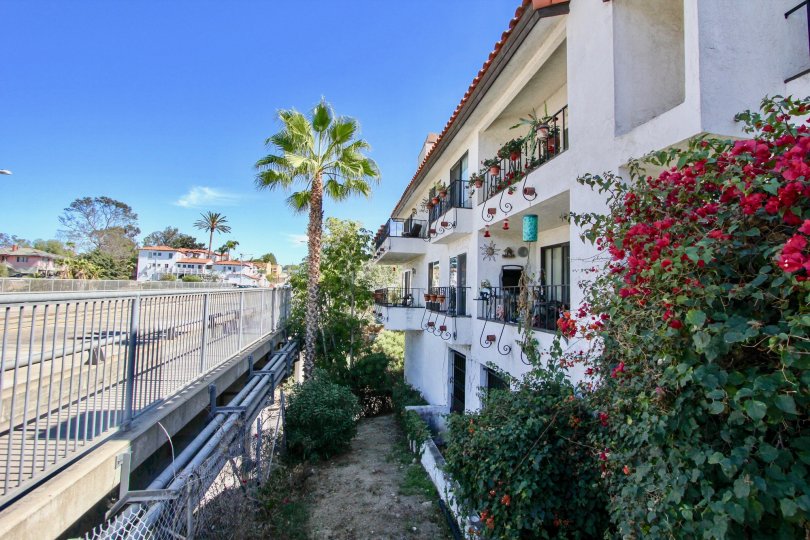Casa Monterey Condos, Lofts & Townhomes For Sale Casa Monterey Real