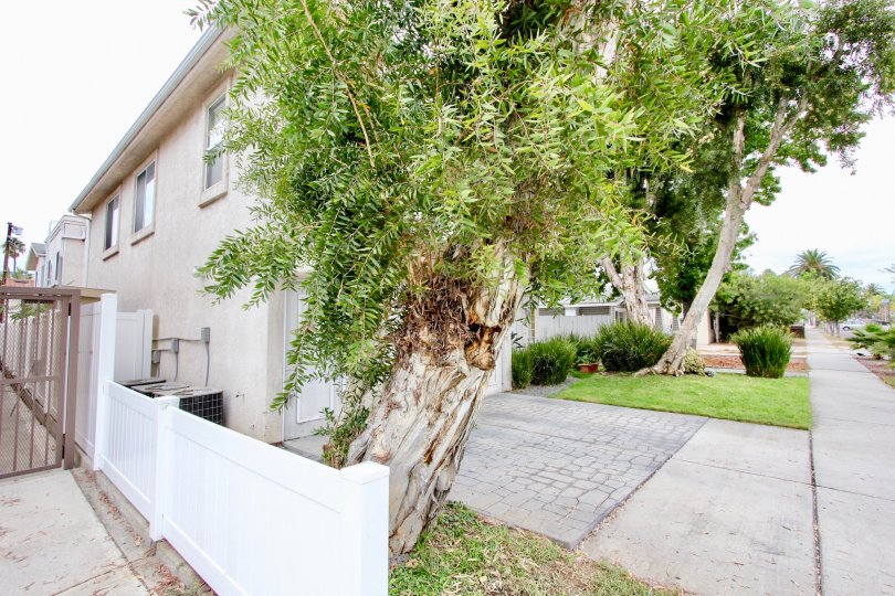 Aspen Ridge Condos, Lofts & Townhomes For Sale Aspen Ridge Real