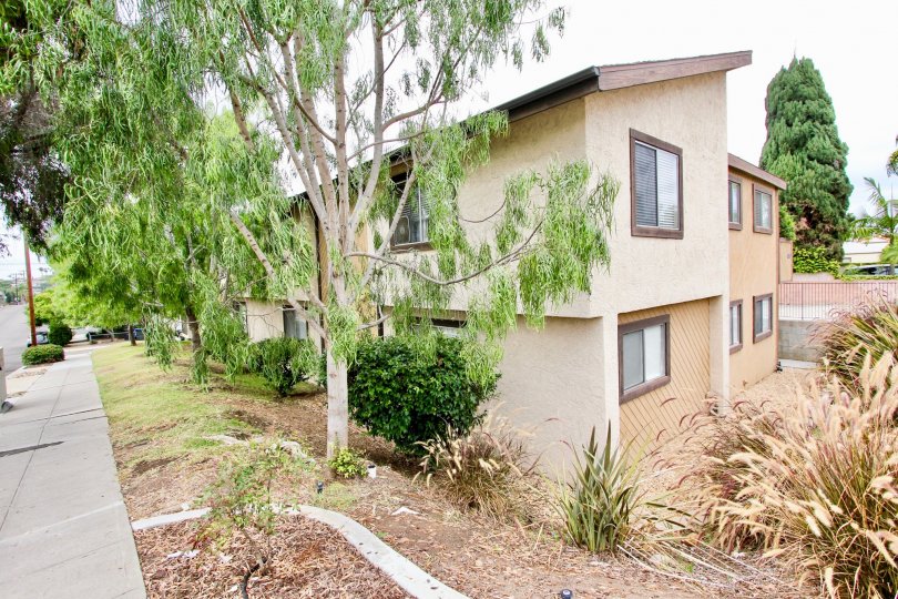 Balboa Condos, Lofts & Townhomes For Sale Balboa Real Estate Balboa