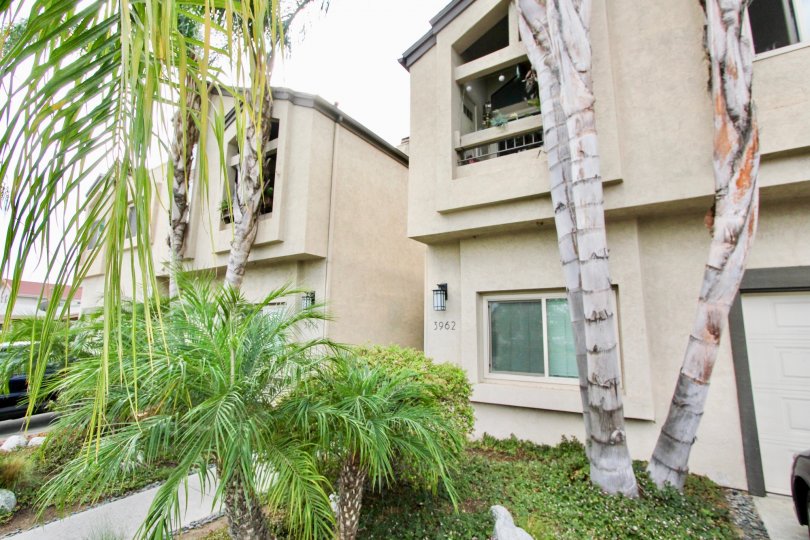 Bancroft Street Condos, Lofts & Townhomes For Sale Bancroft Street