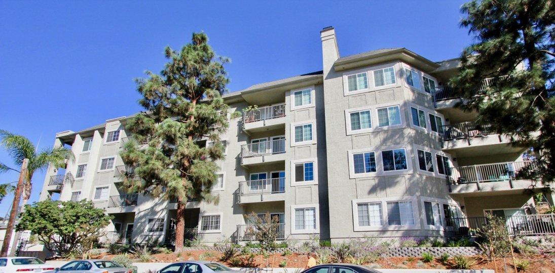 Coventry Woods Condos, Lofts & Townhomes For Sale Coventry Woods Real