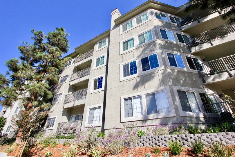 Coventry Woods Condos, Lofts & Townhomes For Sale Coventry Woods Real