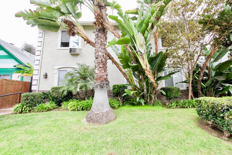 Florida Gardens Condos, Lofts & Townhomes For Sale Florida Gardens