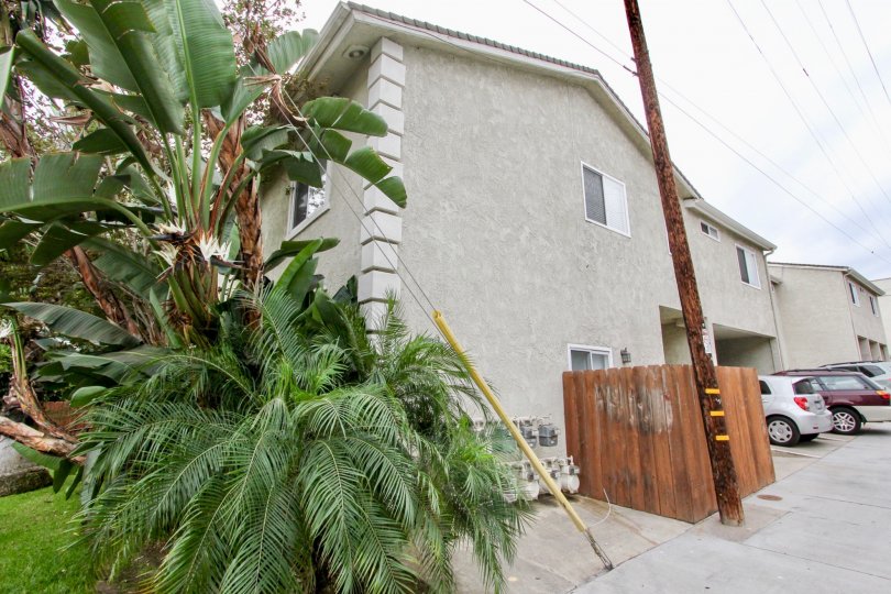 Florida Gardens Condos, Lofts & Townhomes For Sale Florida Gardens