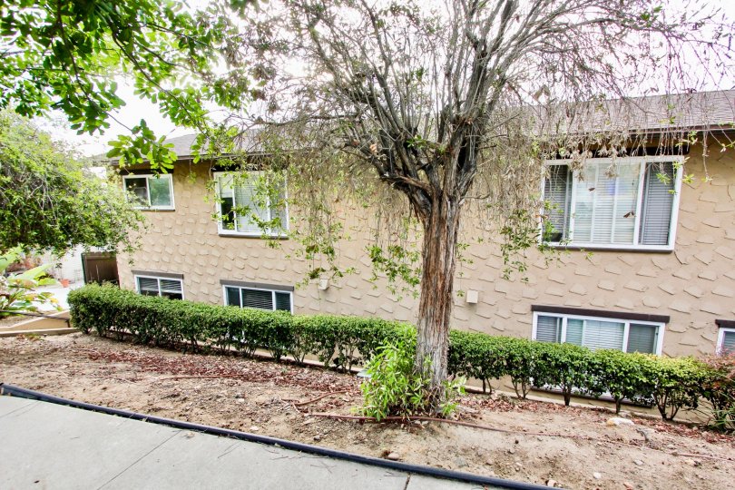 Las Casitas Condos, Lofts & Townhomes For Sale Las Casitas Real