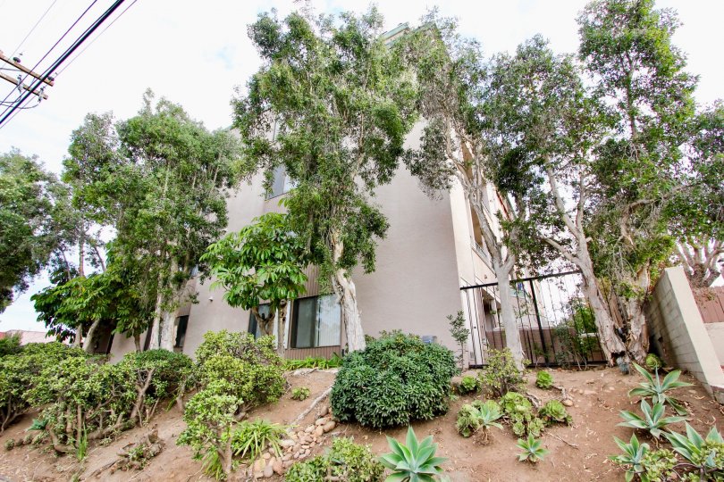 Laurel Manor Condos, Lofts & Townhomes For Sale Laurel Manor Real