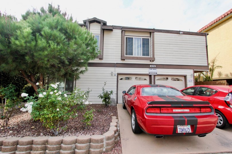 North Park View Condos, Lofts & Townhomes For Sale North Park View