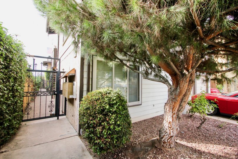 North Park View Condos, Lofts & Townhomes For Sale North Park View