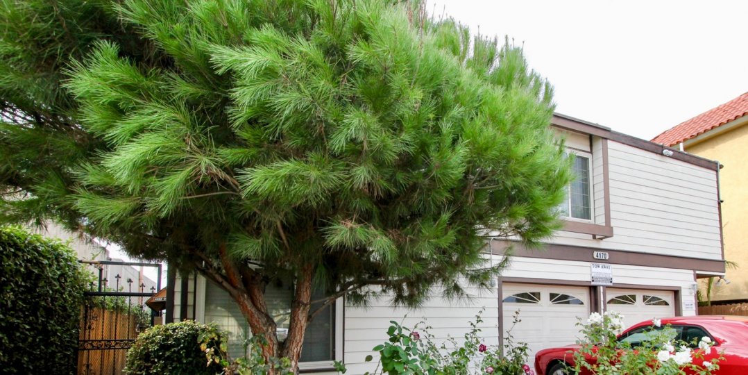 North Park View Condos, Lofts & Townhomes For Sale North Park View