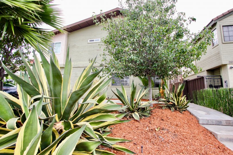 Park Village III Condos, Lofts & Townhomes For Sale Park Village III