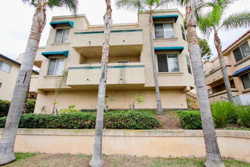 Villa Del Rio Condos, Lofts & Townhomes For Sale Villa Del Rio Real