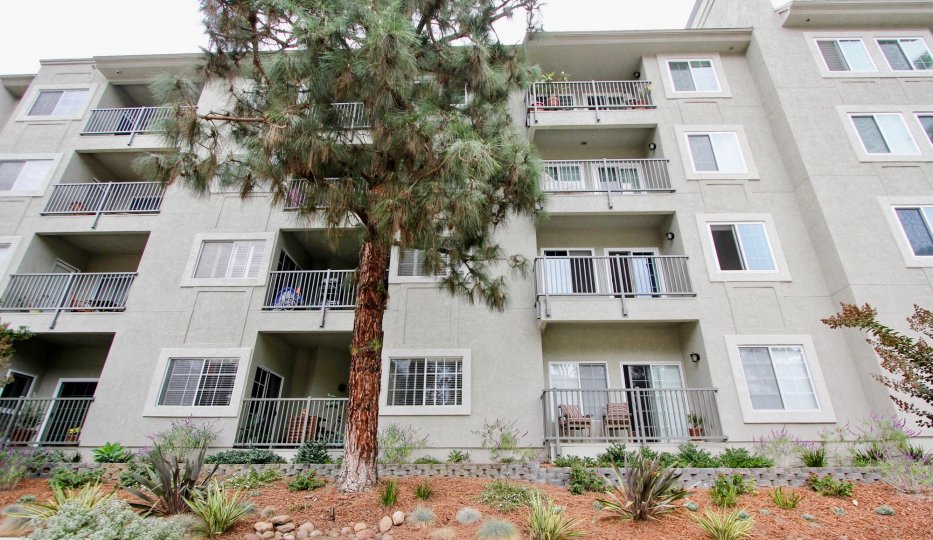 Wilshire on the Park Condos, Lofts & Townhomes For Sale Wilshire on