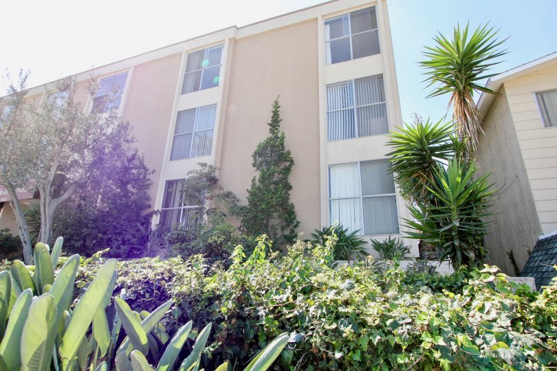 Cape May Towers Condos, Lofts & Townhomes For Sale Cape May Towers