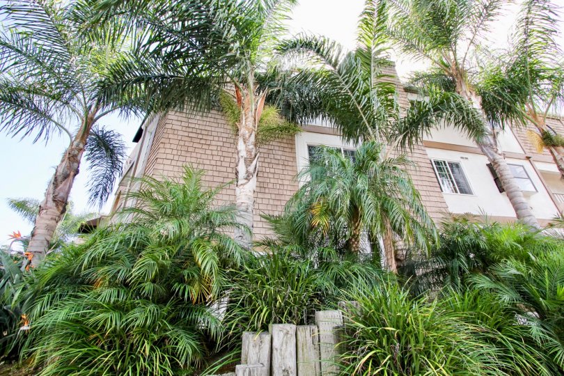 Chatsworth Manor Condos, Lofts & Townhomes For Sale Chatsworth Manor