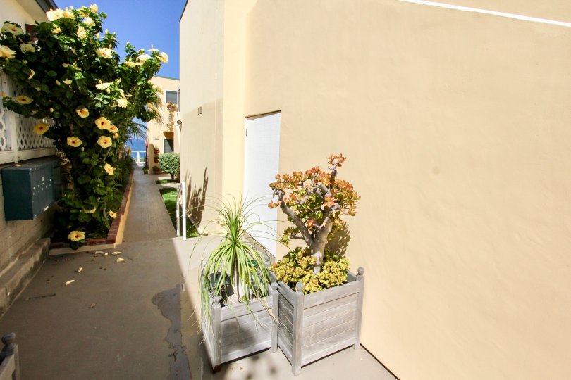 Cliff House Condos, Lofts & Townhomes For Sale Cliff House Real