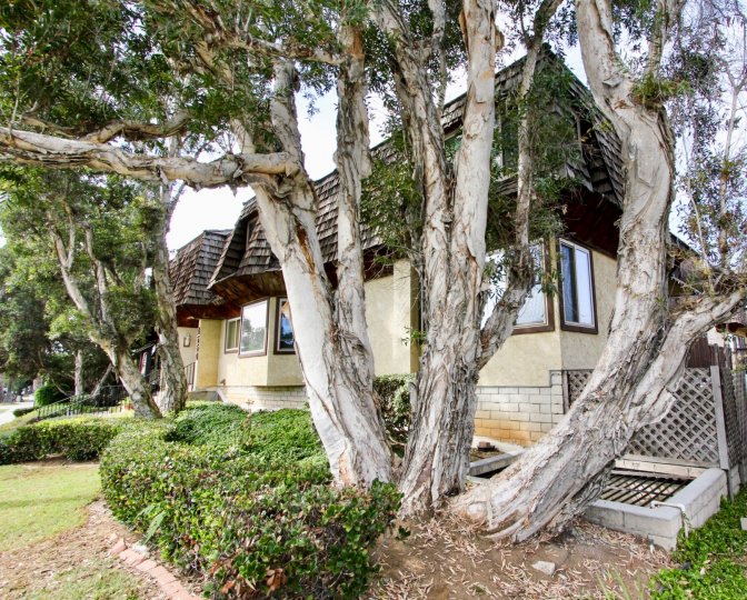 Loma Pacific Condos, Lofts & Townhomes For Sale Loma Pacific Real